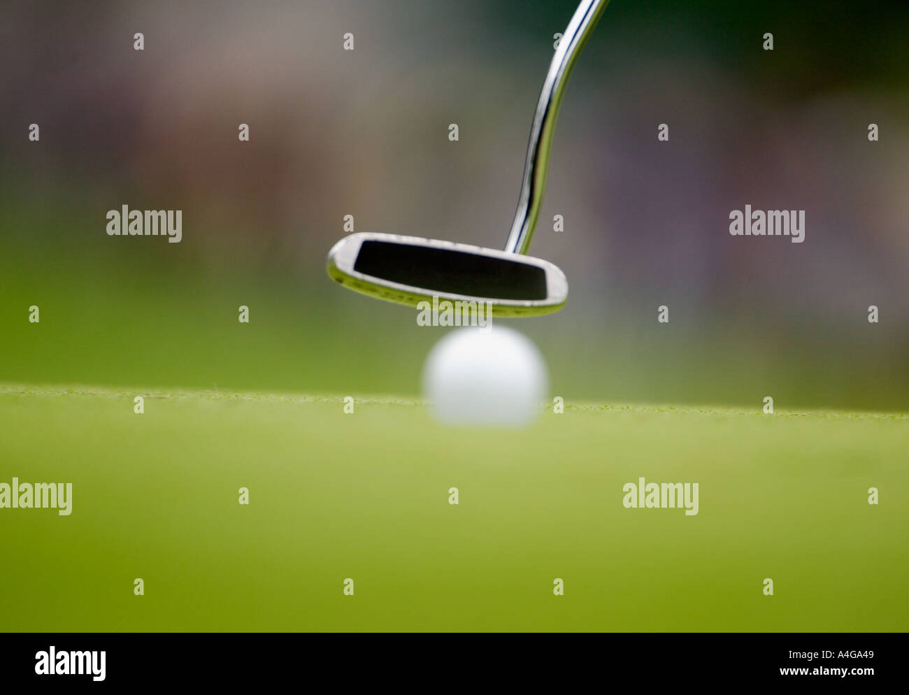 Golfer putting a golf ball Stock Photo