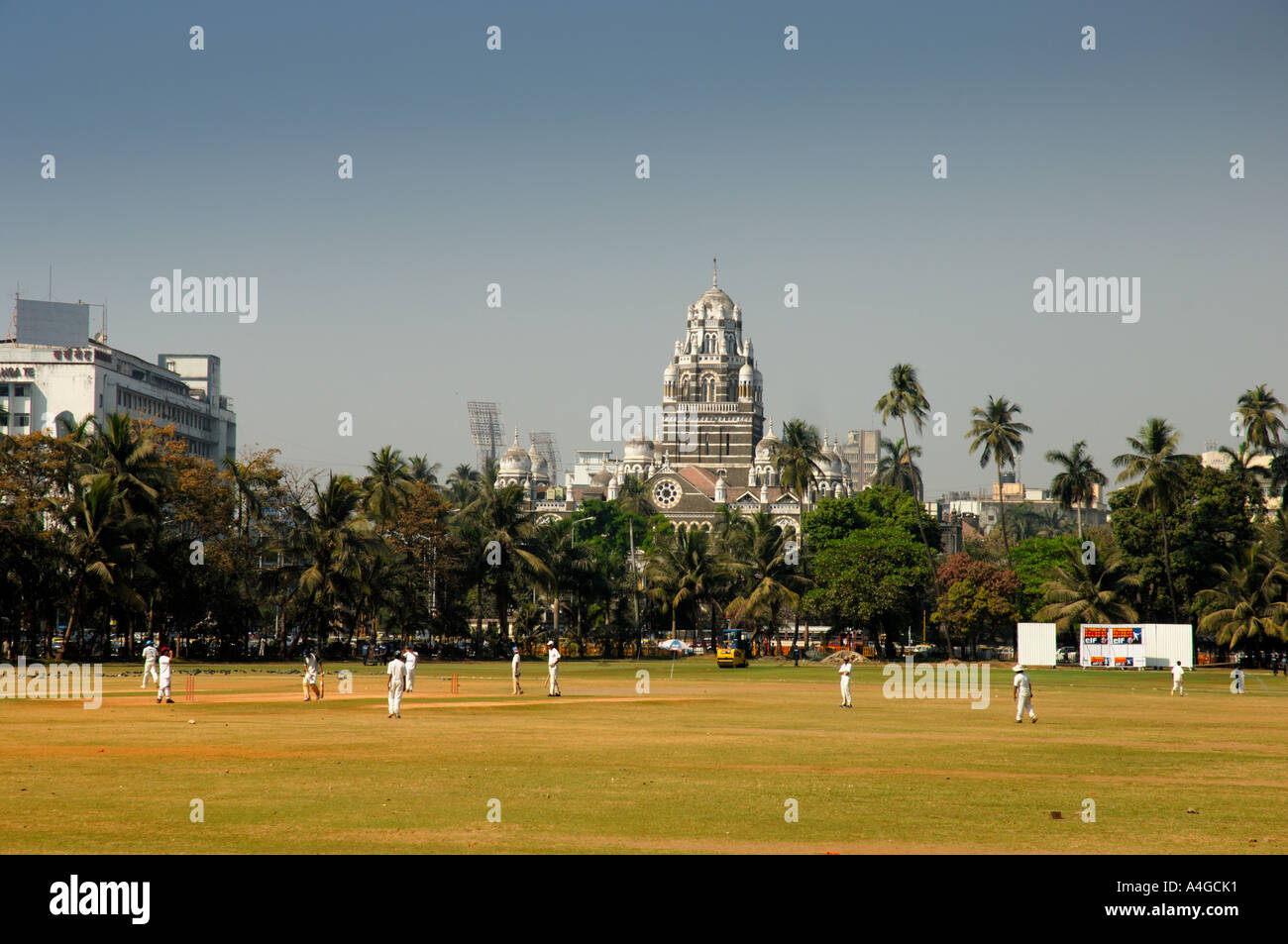Cricket ground with backdrop of British colonial buildings Mumbai Maharashtra India Stock Photo
