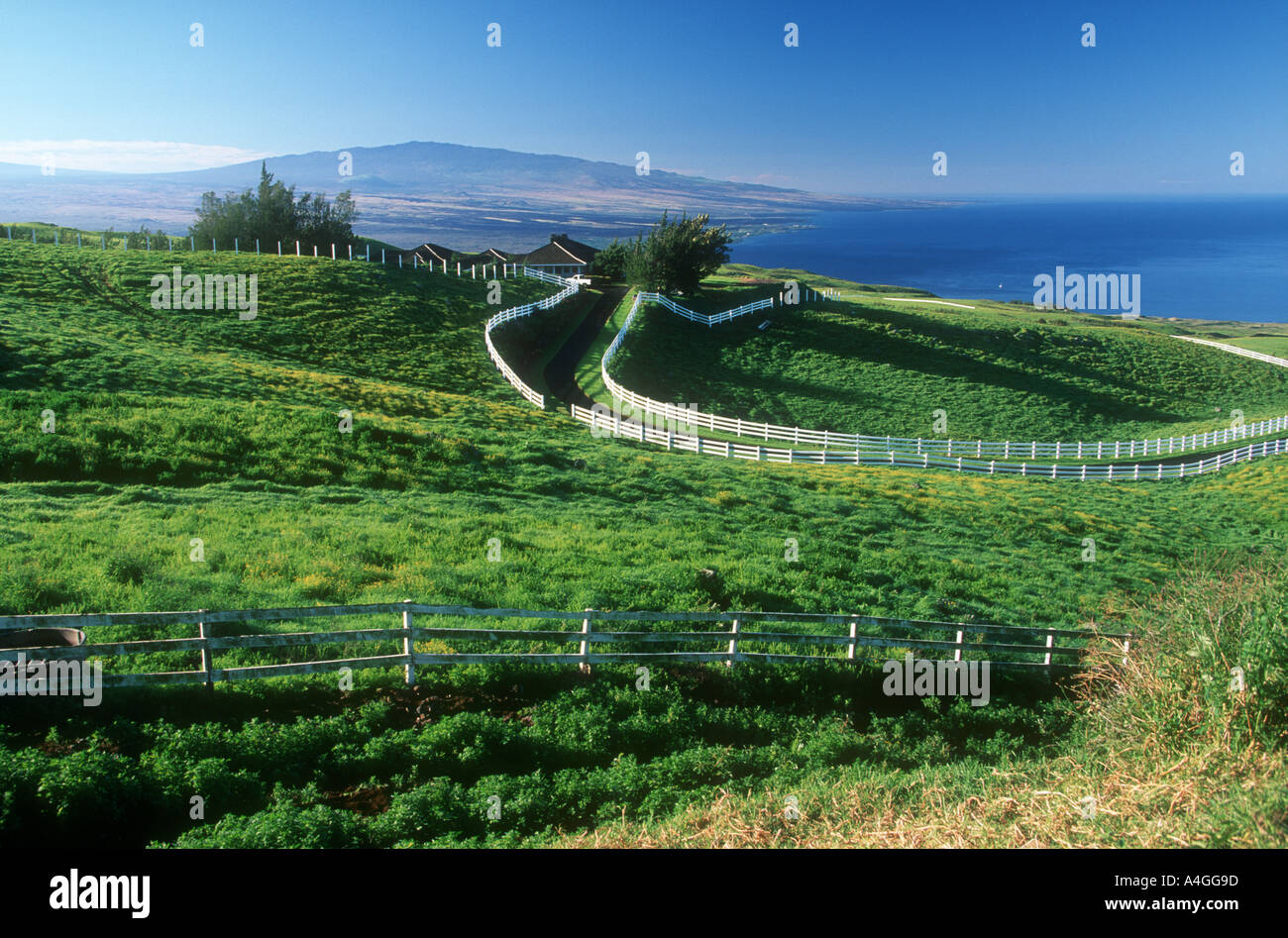 Ranch Big Island Hawaii U S A Stock Photo