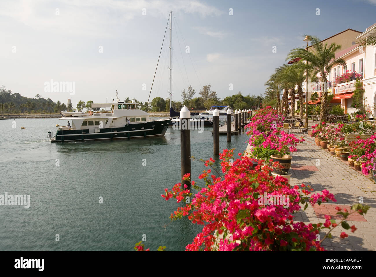 Malaysia Kedah Langkawi Telaga Harbour Park Marina harbourside flowers