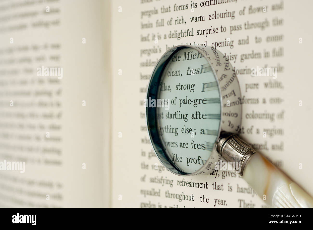 Antique magnifying glass on book Stock Photo - Alamy
