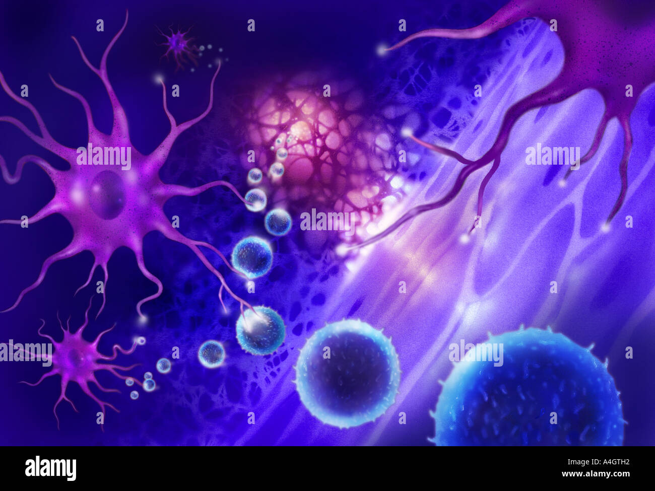 An illustration of dendritic cells (purple), key components of the immune system Stock Photo