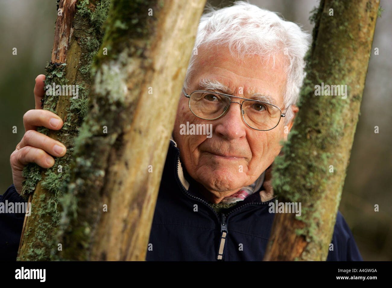 Author, ecologist and scientist Professor James Lovelock, at home on the Devon  Cornwall border UK. Stock Photo