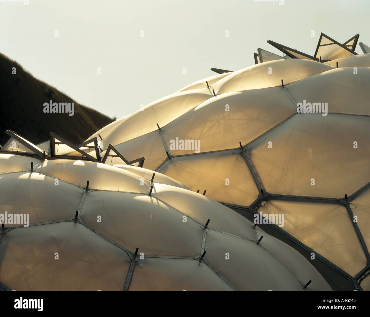 THE EDEN PROJECT Stock Photo