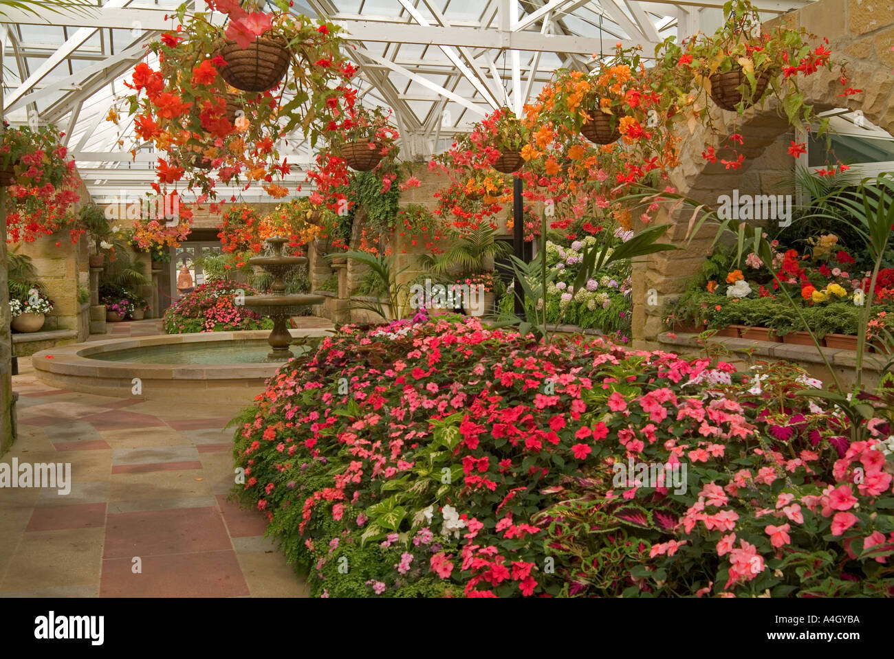 Interior of the conservatory at Royal Hobart Botanical Gardens Hobart Tasmania Stock Photo