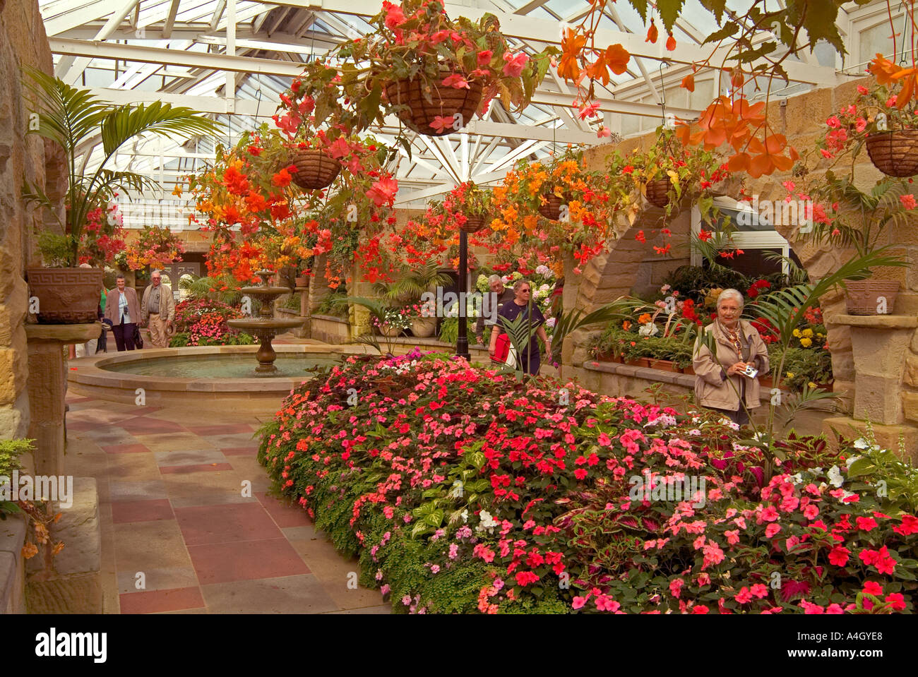 Interior of the conservatory at Royal Hobart Botanical Gardens Hobart
