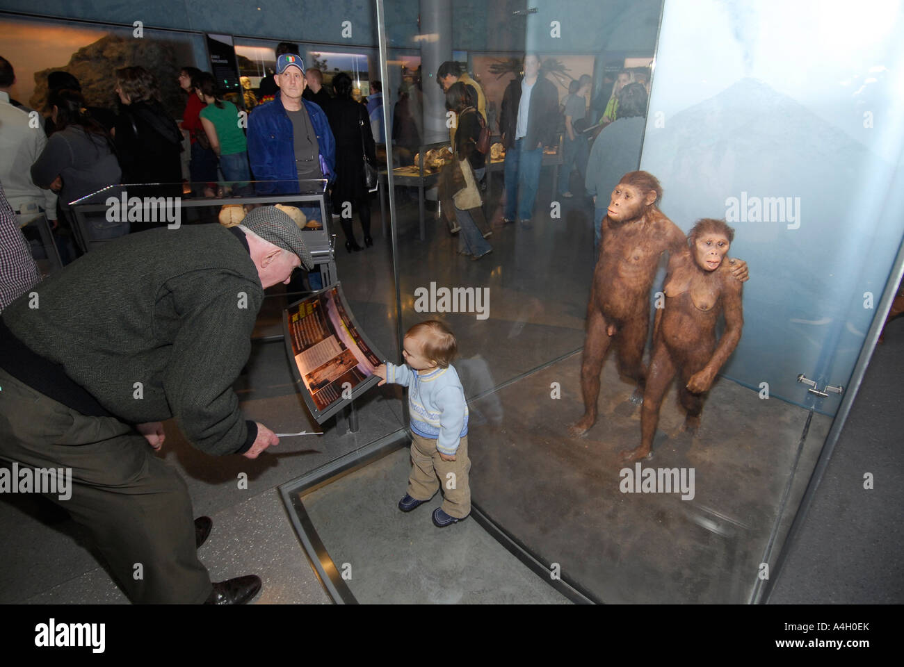Offering the most comprehensive evidence of human evolution ever ...