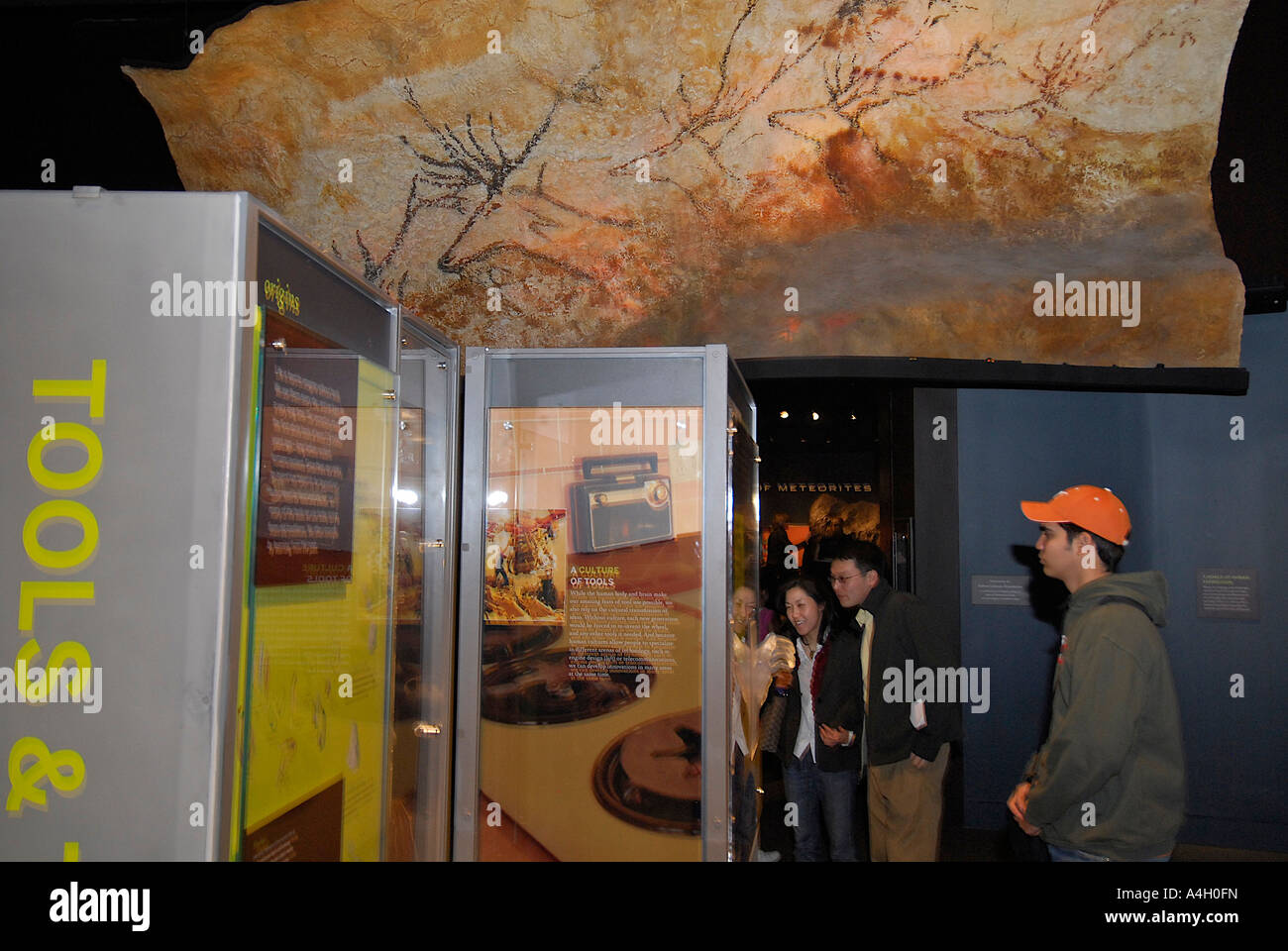 Offering the most comprehensive evidence of human evolution ever ...