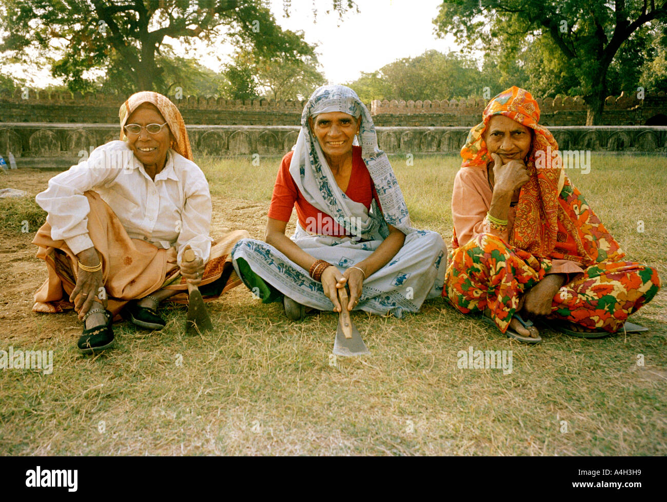 Grasscutters in New Delhi, India Stock Photo Alamy