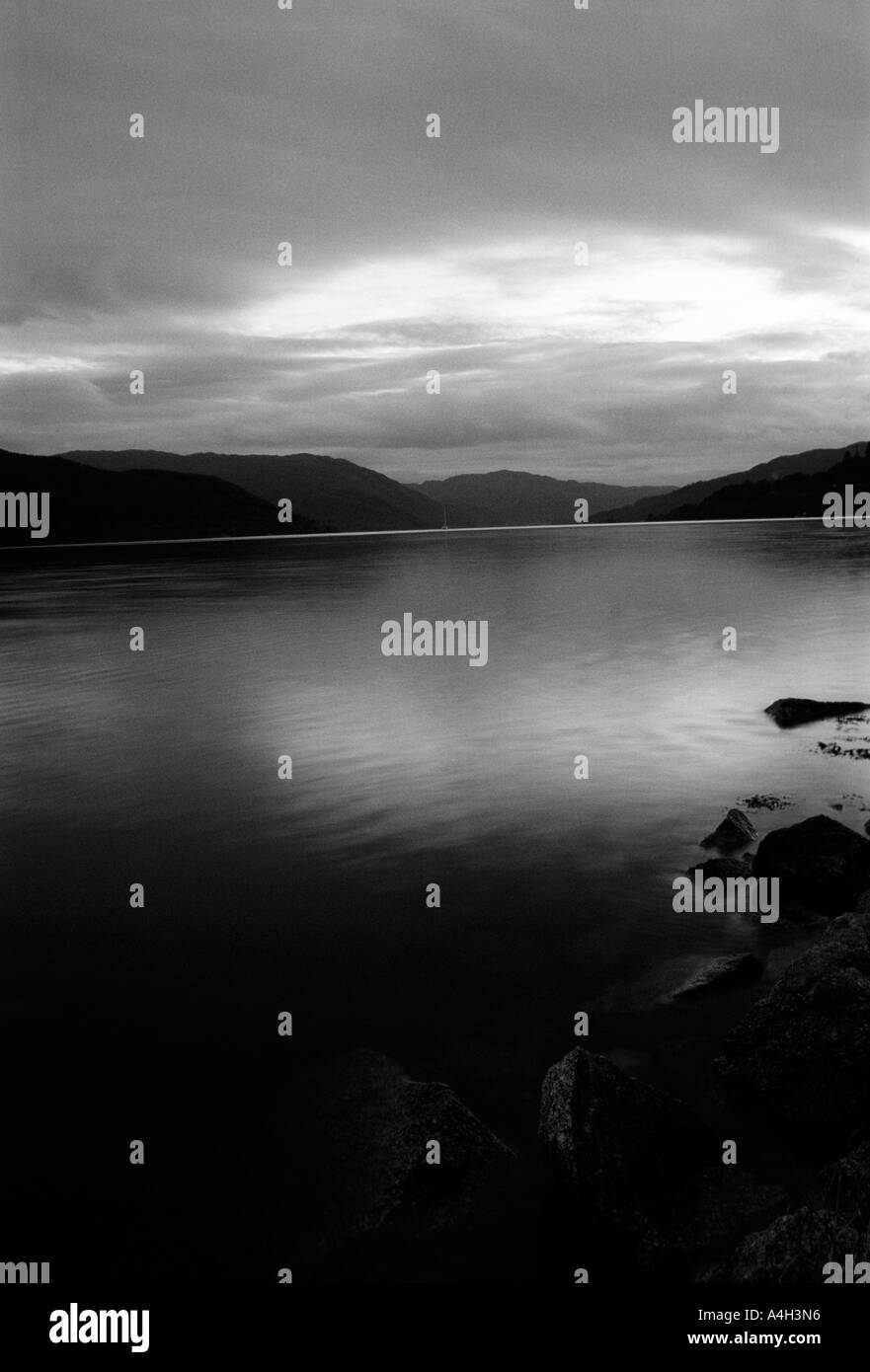 Black and whitewild Black and White Stock Photos & Images - Alamy