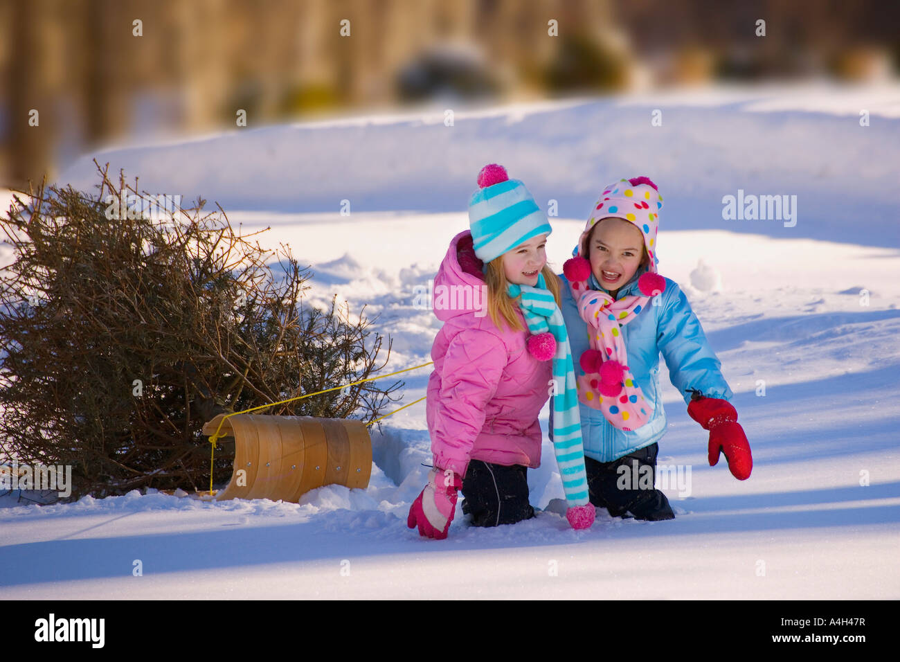 Girls pulling a toboggan Stock Photo Alamy