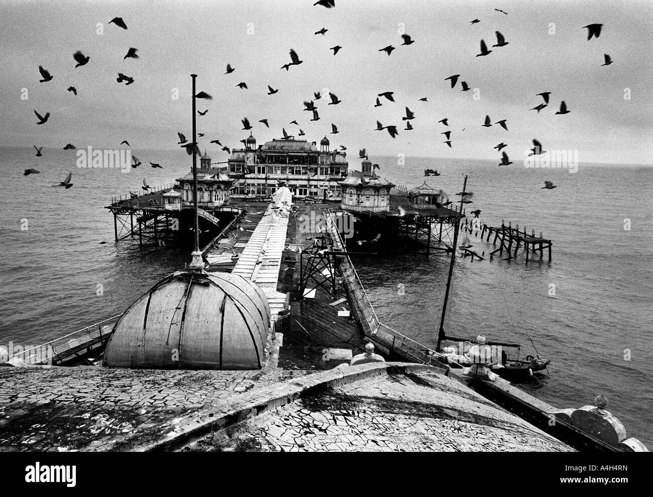 Pigeons fly home to roost on the ramshackle theatre at the end of the tumbledown West Pier in Brighton in July 1991. Stock Photo