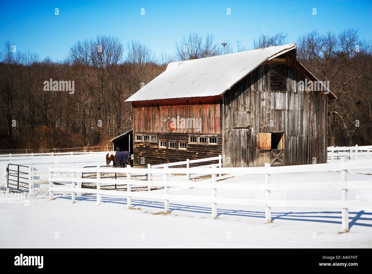 Old Barn Scenic Winter Scene Country Scene Snow Snow Scene