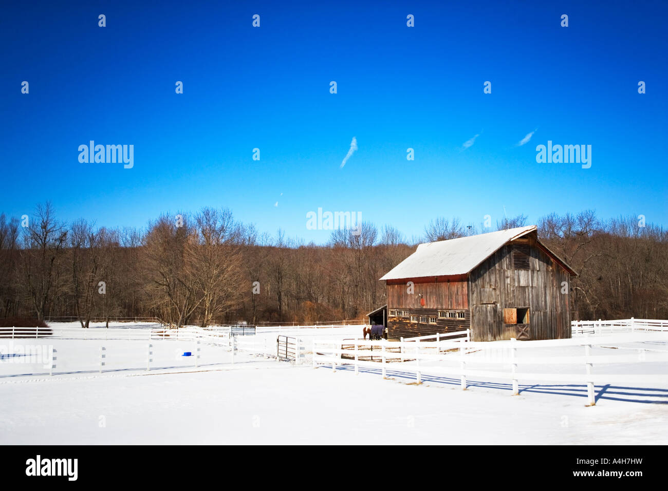Old Barn Scenic Winter Scene Country Scene Snow Snow Scene