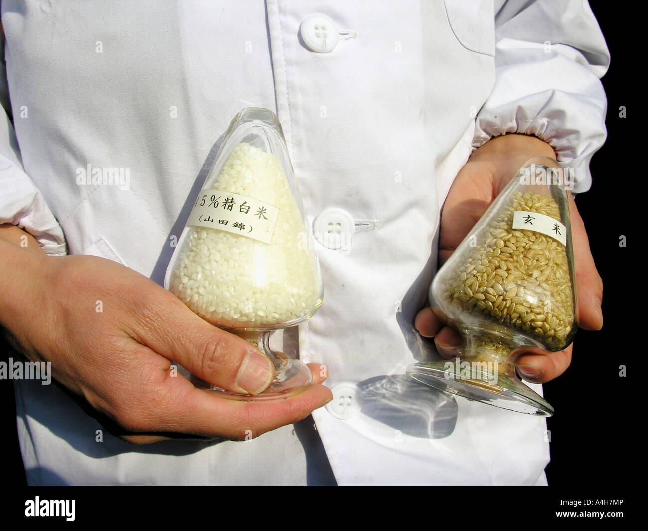 Different grades of polished rice used to make sake Funasaka Sake