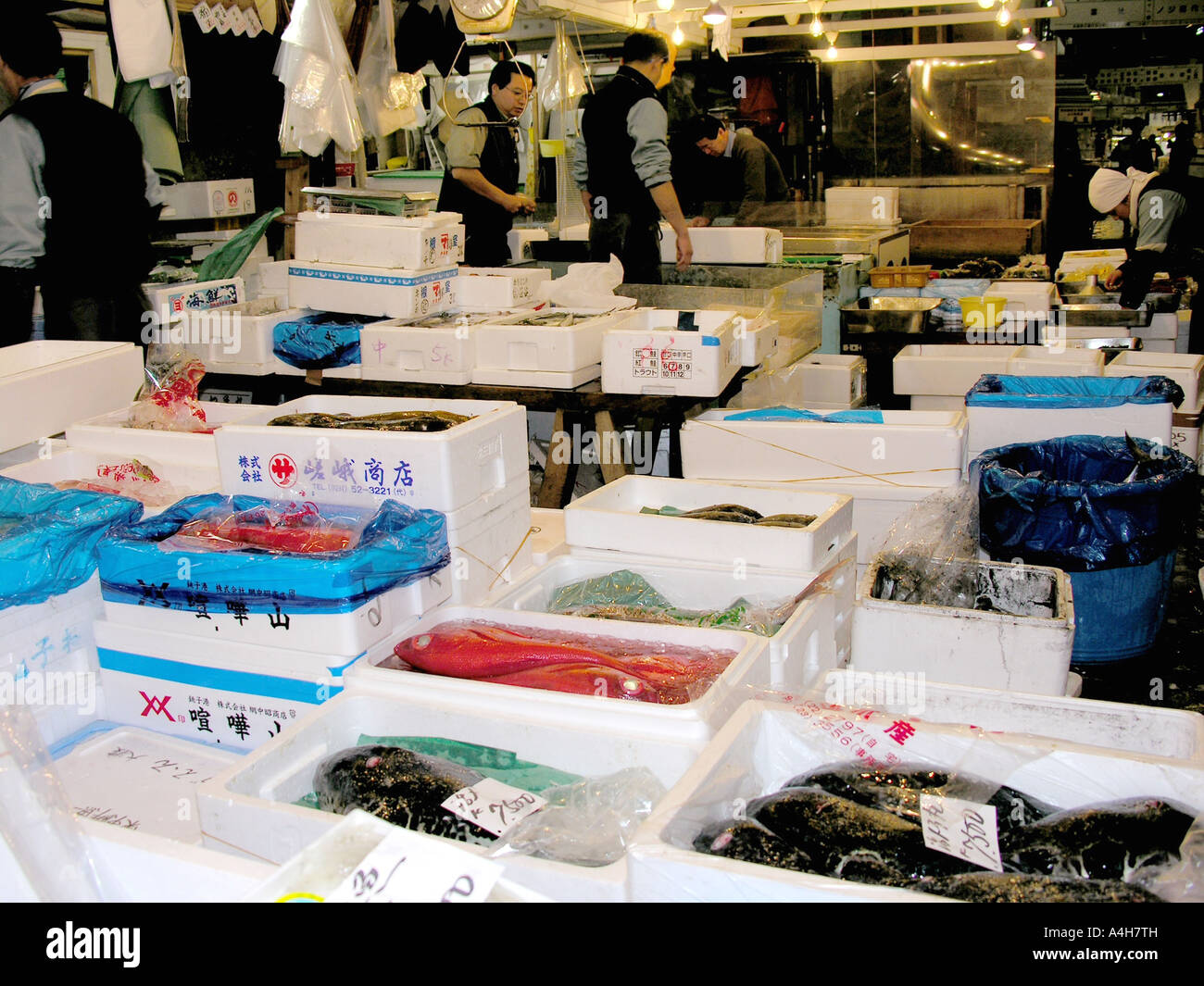 Tsukiji Fish Market Tokyo Stock Photo - Alamy