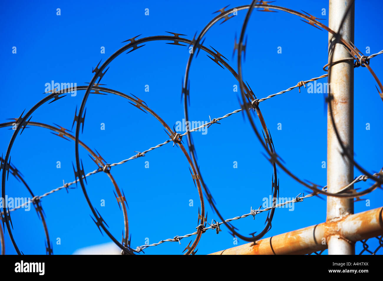 barbed wire safety