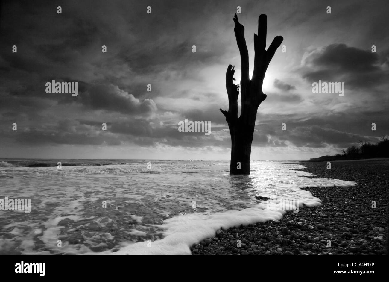 The last stand Black and White Stock Photos & Images Alamy