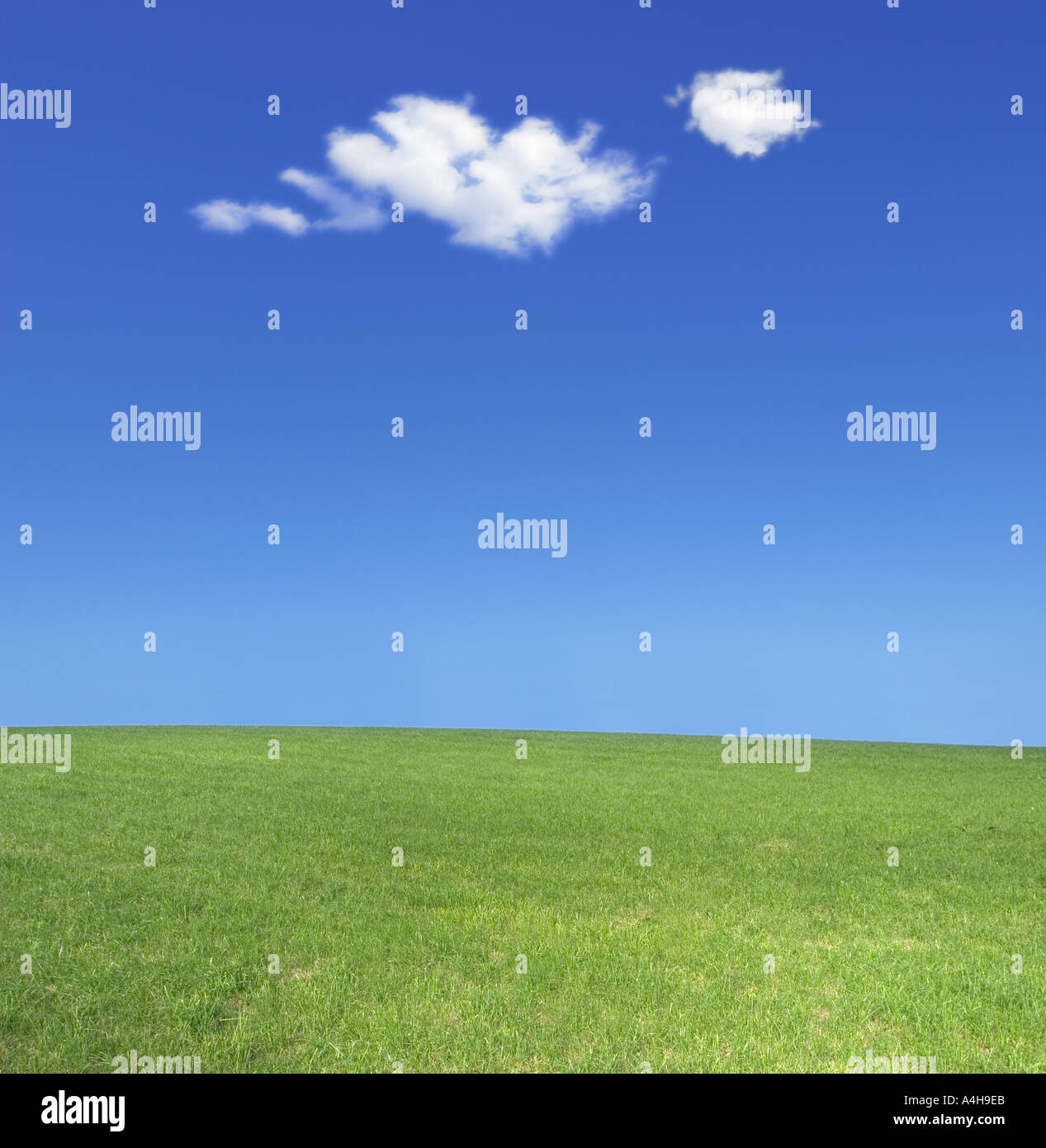 green meadow blue sky and one single white cloud thermionics thermic cloud Stock Photo