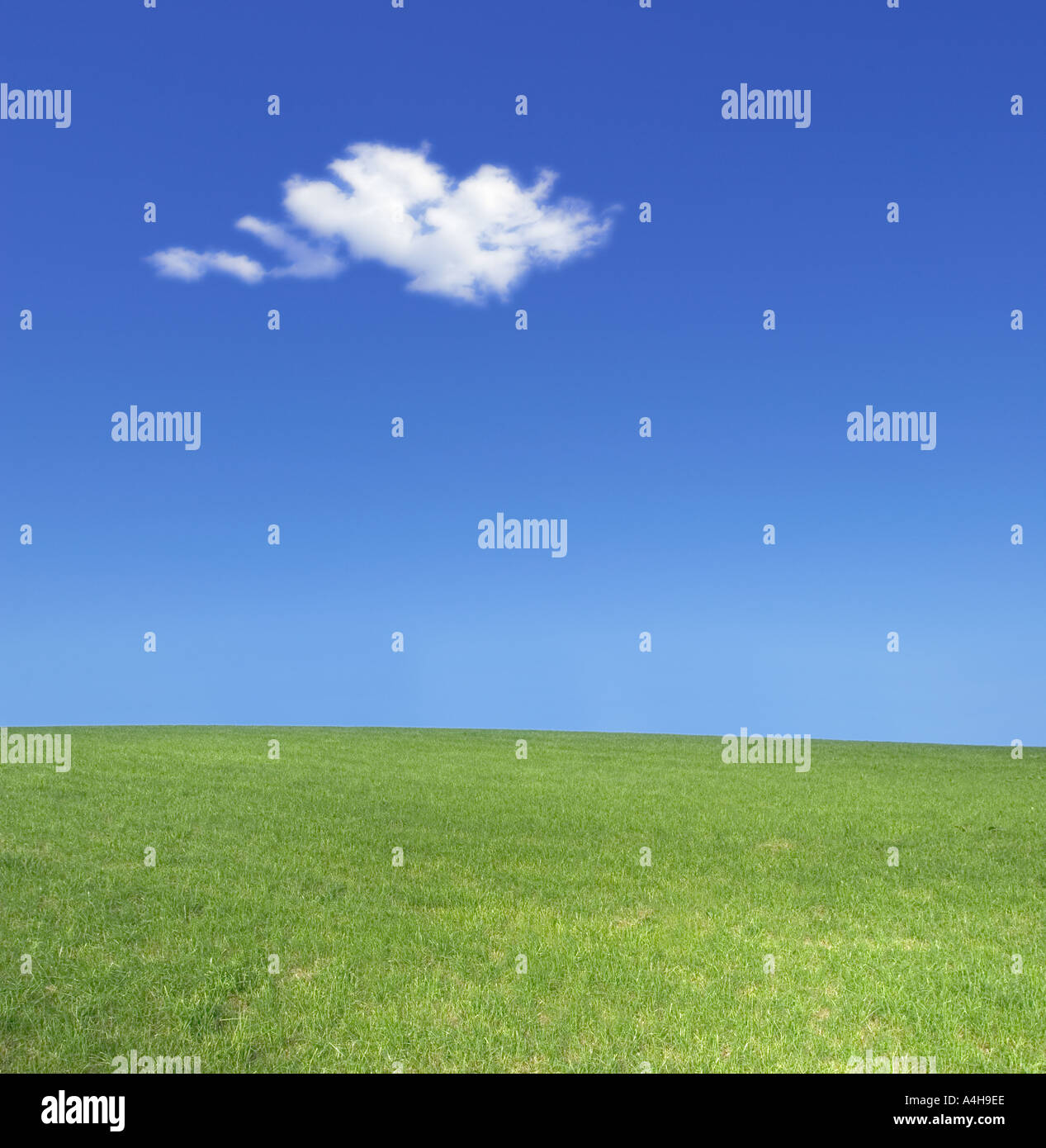 green meadow blue sky and one single white cloud thermionics thermic cloud Stock Photo