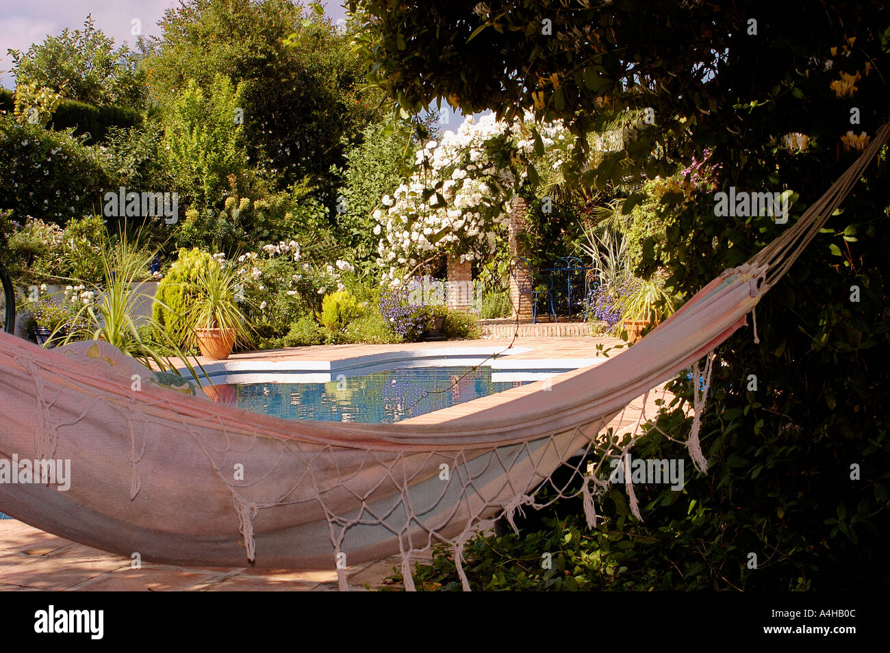 Spain Malaga privat garden in spring Stock Photo