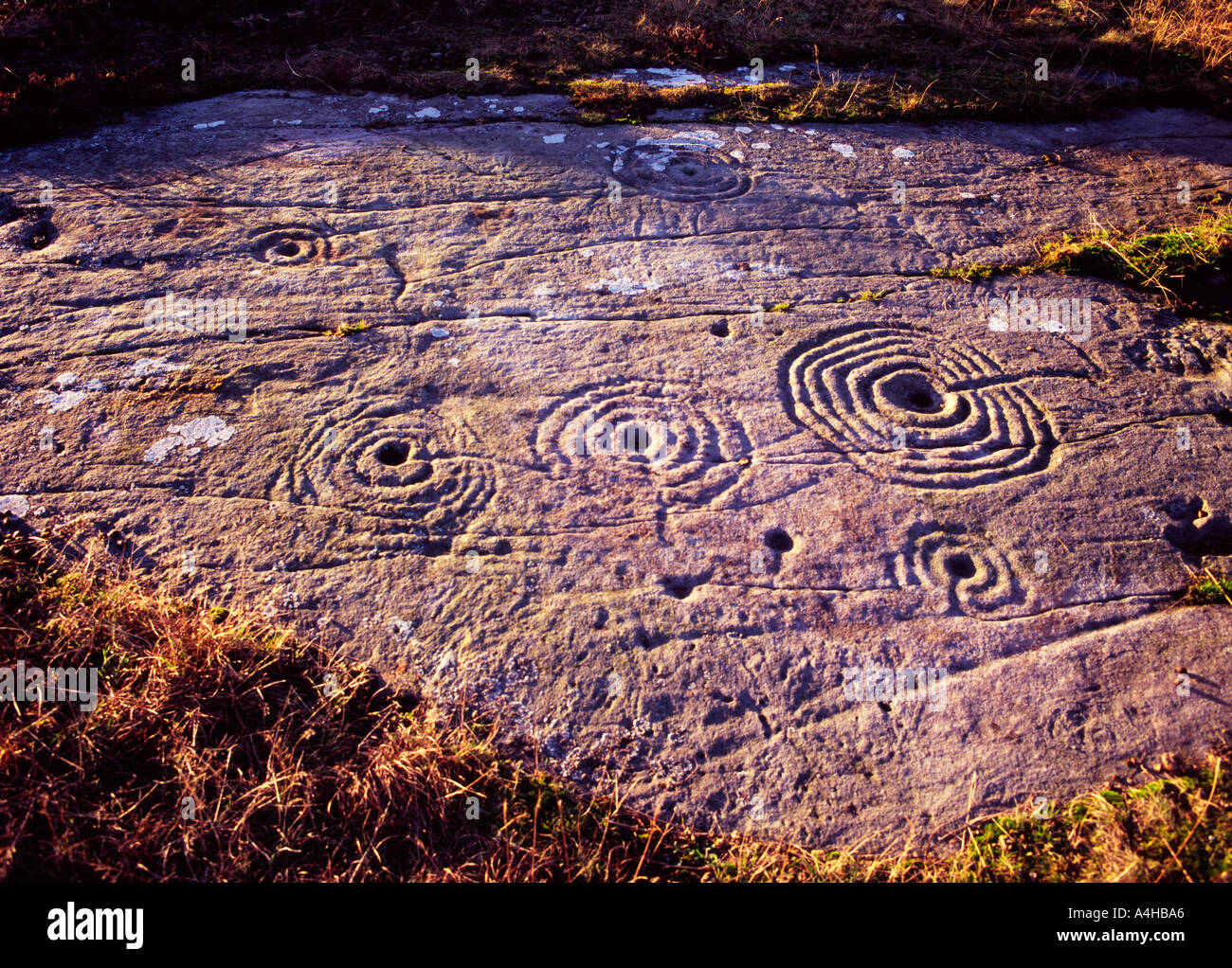 Cup ring stone hi-res stock photography and images - Alamy