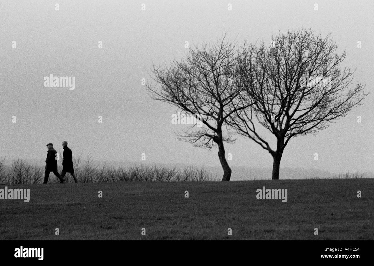 monochrome of two men walking in a park with two trees in the background Stock Photo