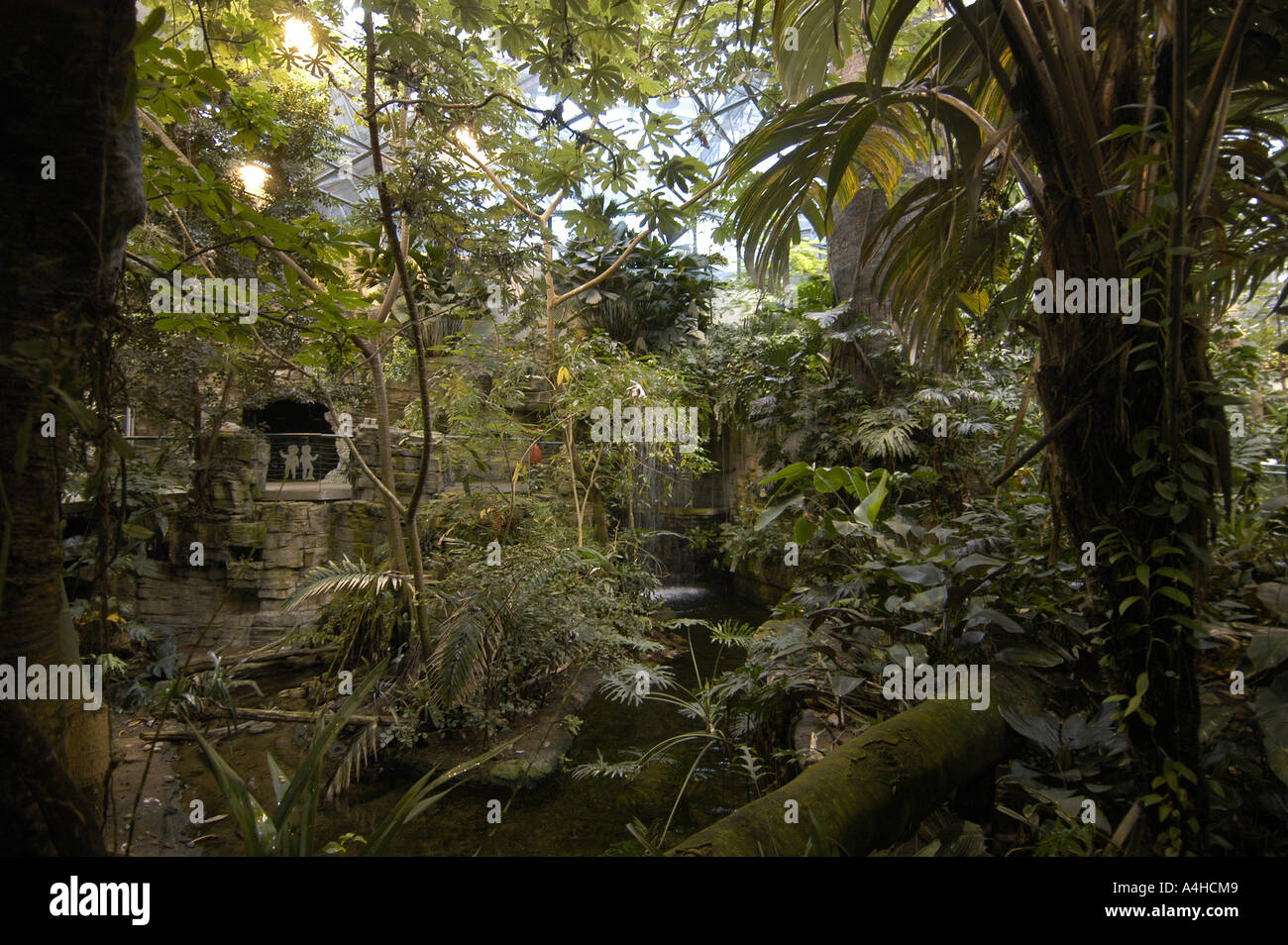 Biodome Water flows over the rocks and ferns in a display at the ...