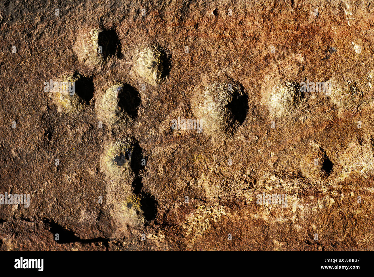 Cup marks c3500 BC in Court Cave Wemyss Caves Fife Scotland UK Stock Photo