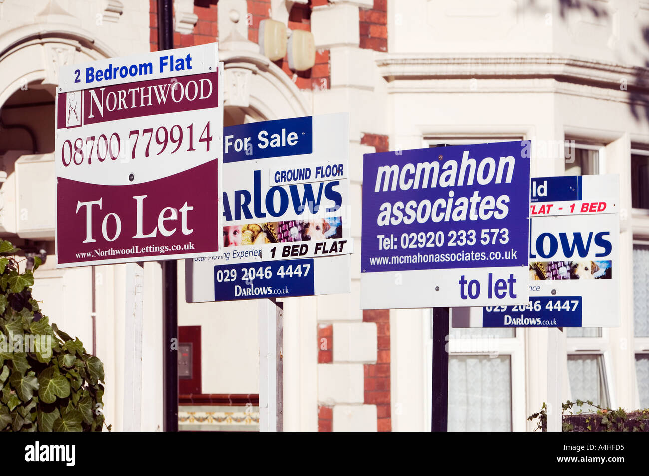 To let sign house car hires stock photography and images Alamy