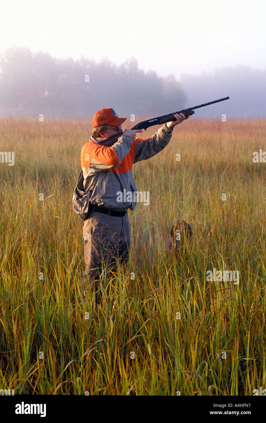 Bird hunter with hunting dog Stock Photo
