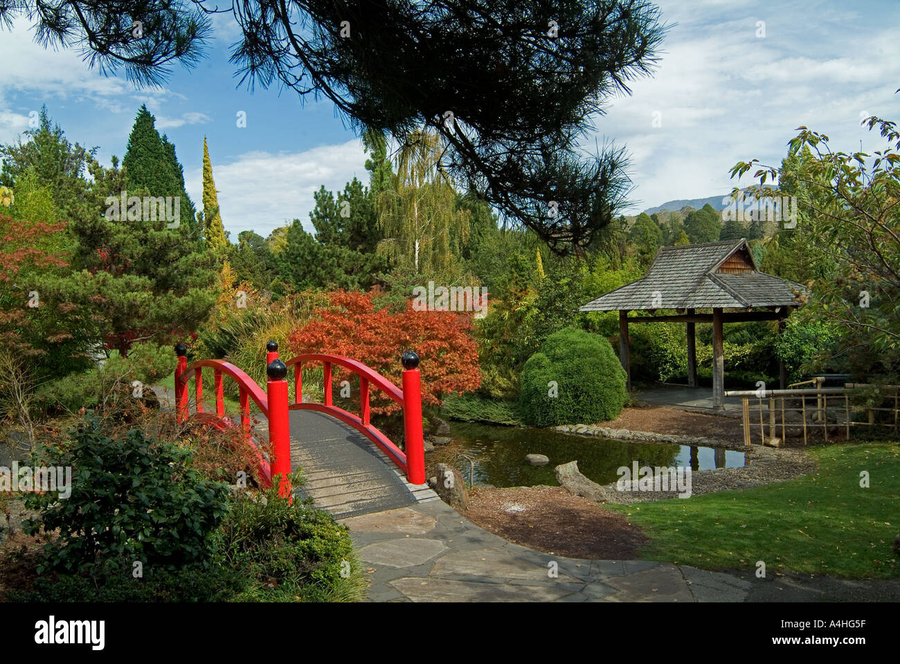 Japanese garden at the Royal Botanical Gardens in Hobart Tasmania Stock Photo