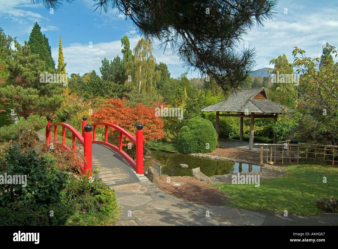 Japanese garden at the Royal Botanical Gardens in Hobart Tasmania Stock Photo