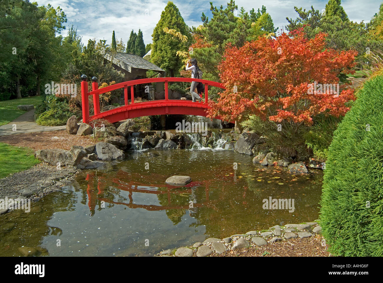 Japanese garden at the Royal Botanical Gardens in Hobart Tasmania Stock Photo