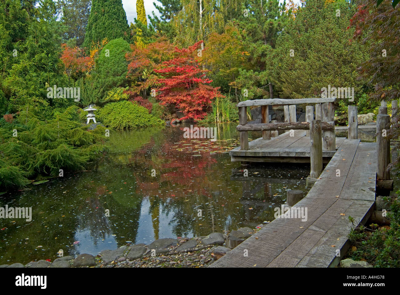 Japanese garden at the Royal Botanical Gardens in Hobart Tasmania Stock Photo