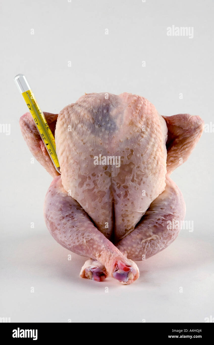 Chicken with thermometer Stock Photo by ©Kuzmafoto 15808399