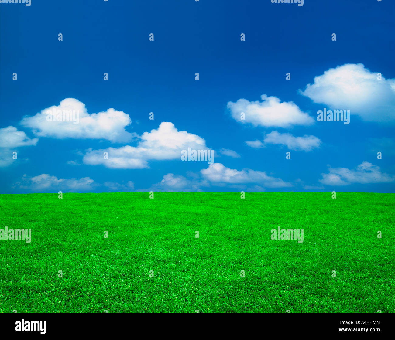 A green field under the blue sky Stock Photo - Alamy