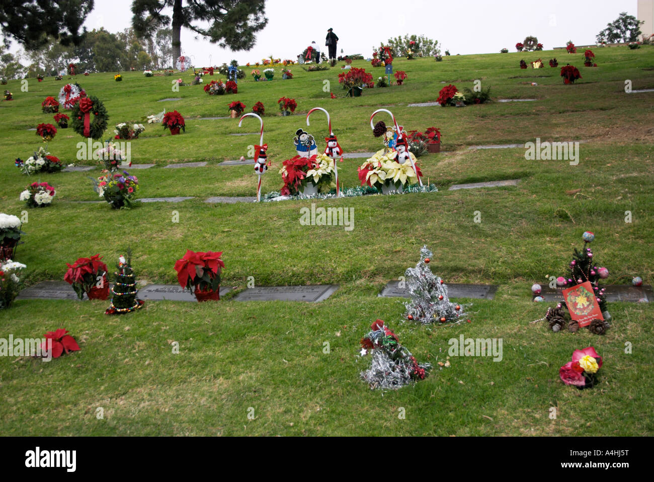 Forest Lawn Cemetery in Glendale, California, USA Stock Photo Alamy