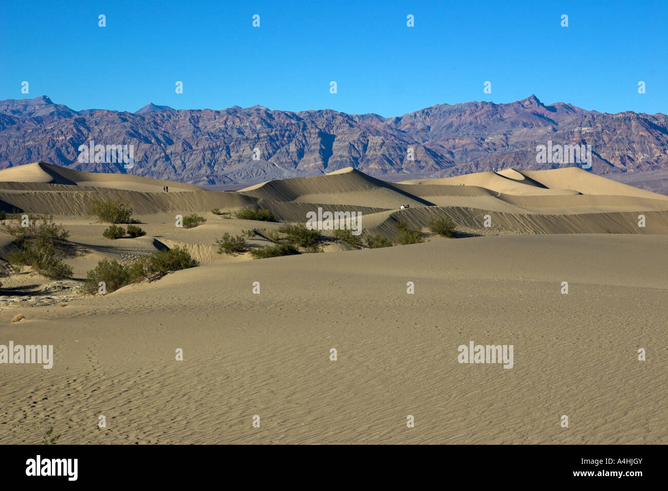 Star wars series largest dune called star dune hi-res stock photography ...