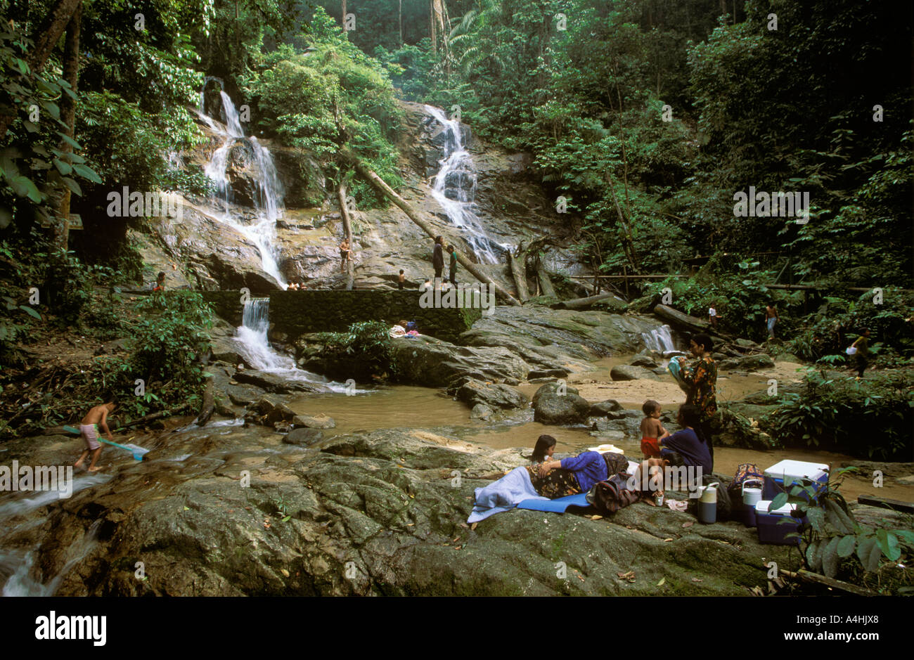 Templer Park 