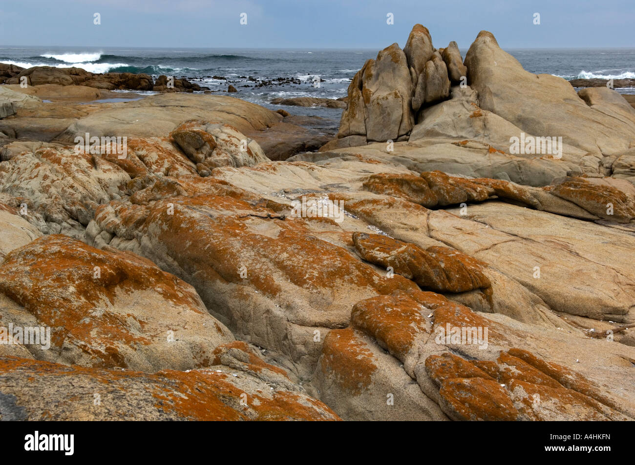 Cape Columbine Nature Reserve Paternoster South Africa Stock Photo - Alamy