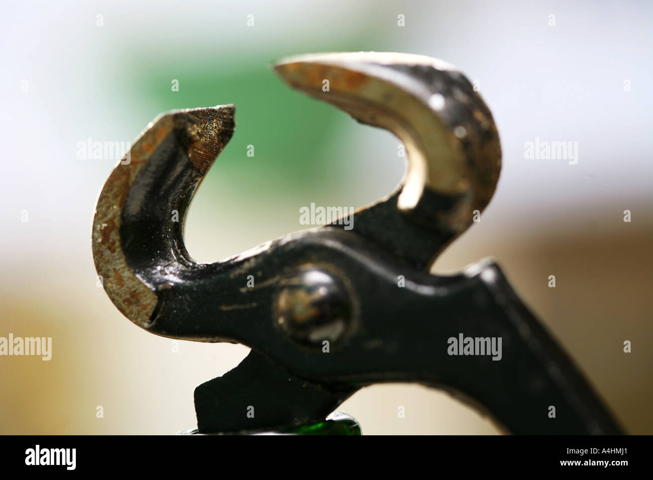 Pair of nippers Stock Photo 6317088 Alamy