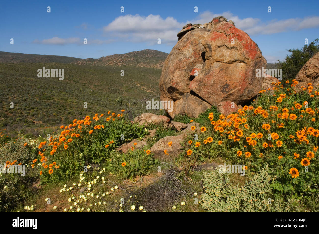 namaqua national park south africa