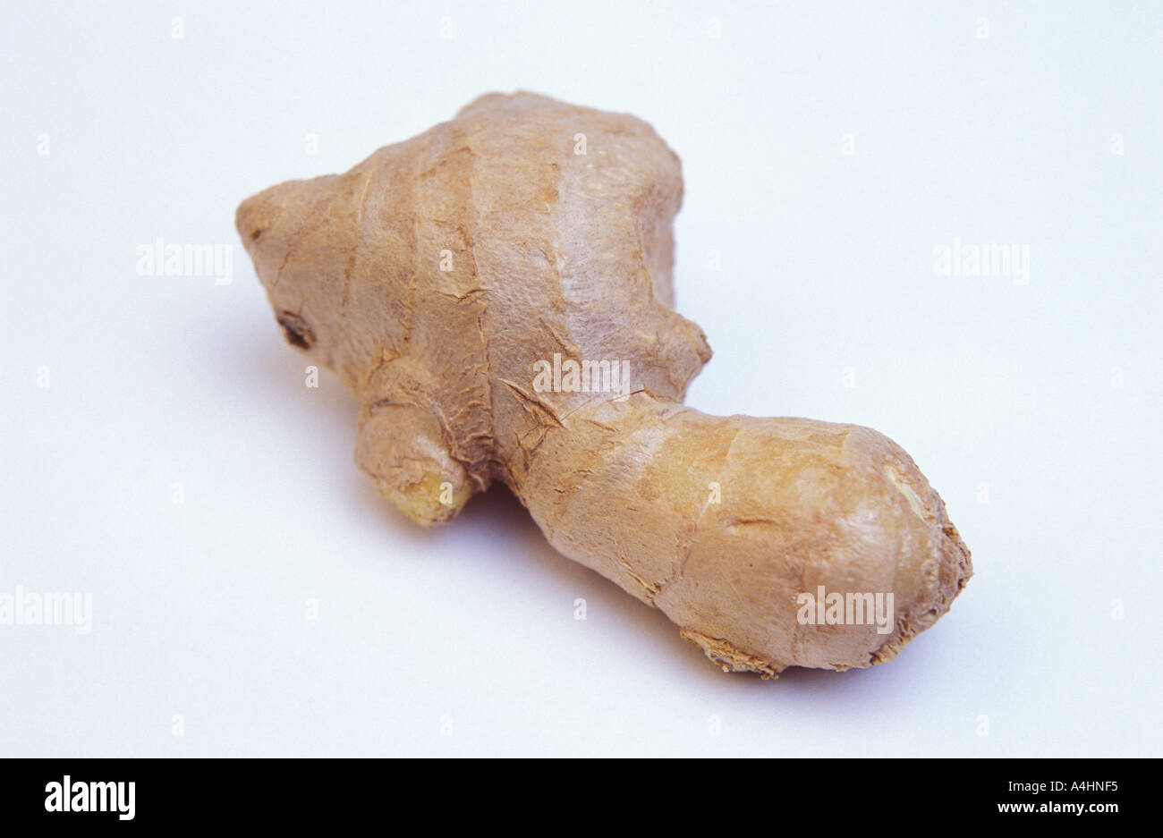 Ginger root Stock Photo