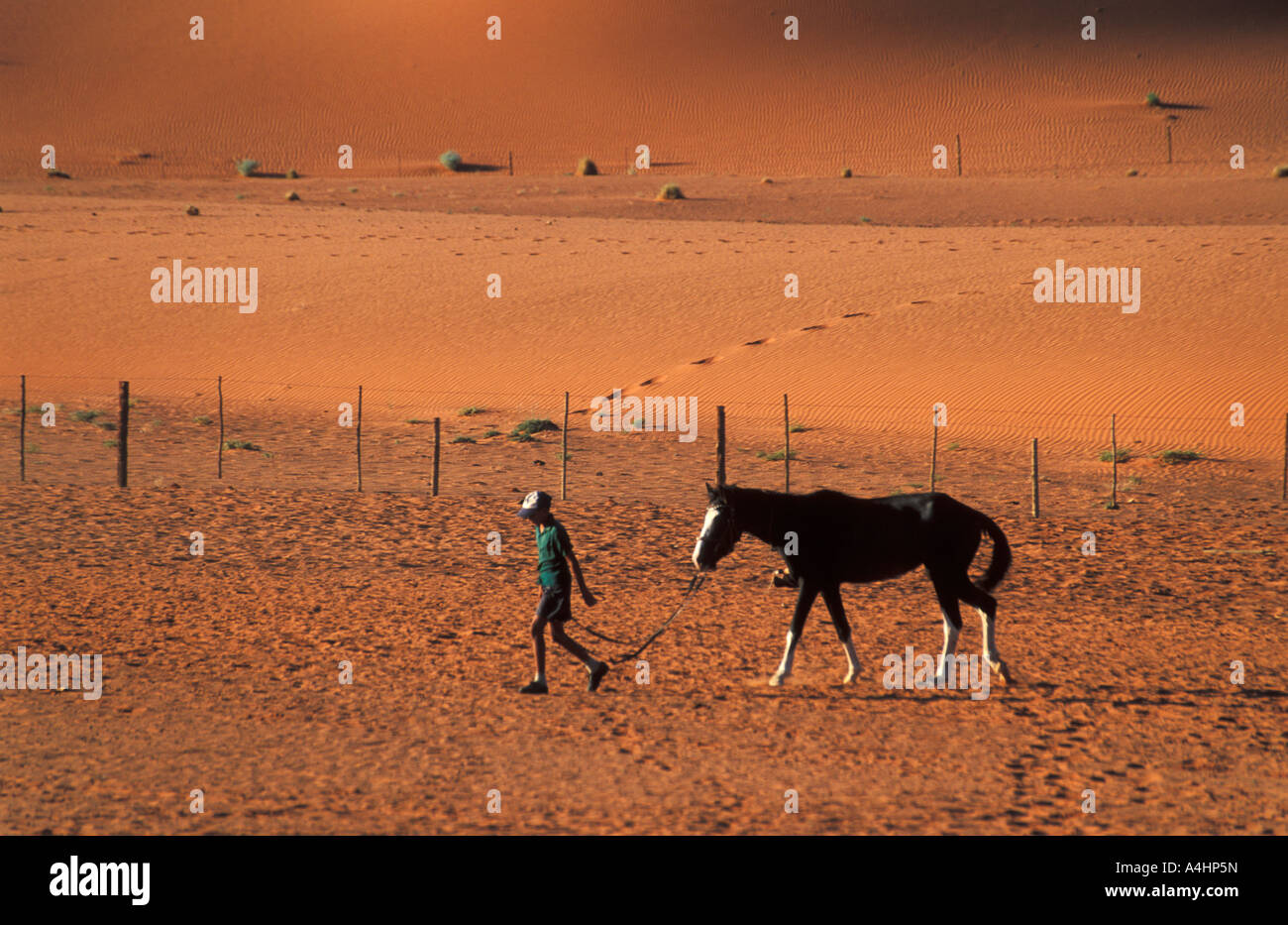 boy with horse in a sheep farm in the Kalahari Northern Cape South Africa Stock Photo
