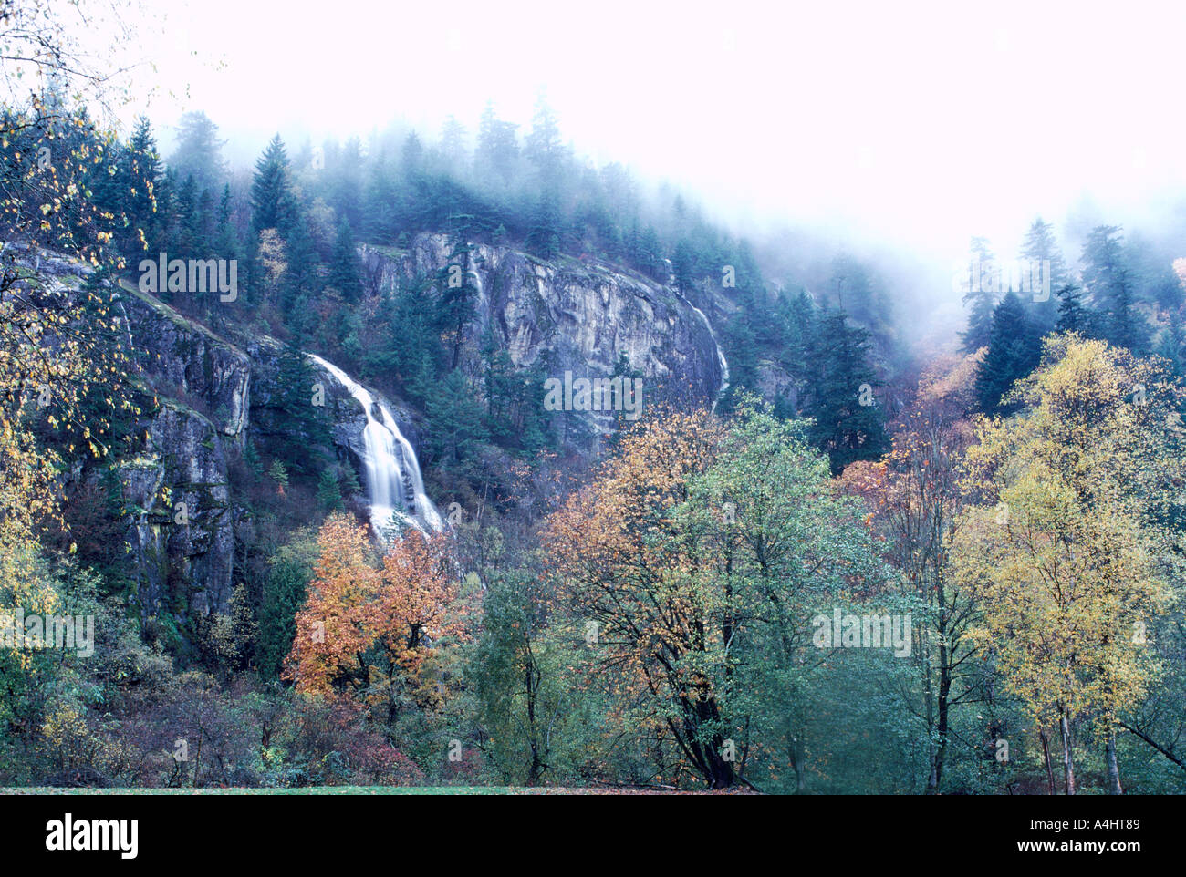 A Mixed Deciduous and Coniferous Forest and Waterfall in Autumn, Fraser Valley, BC, British Columbia, Canada Stock Photo
