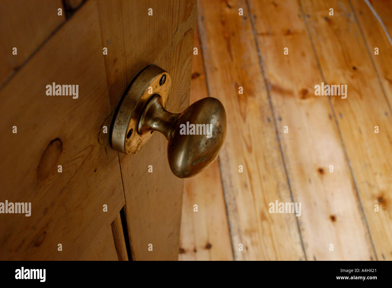 Brass Door Handle On A Polish Pine Door Over Pine Floor Boards