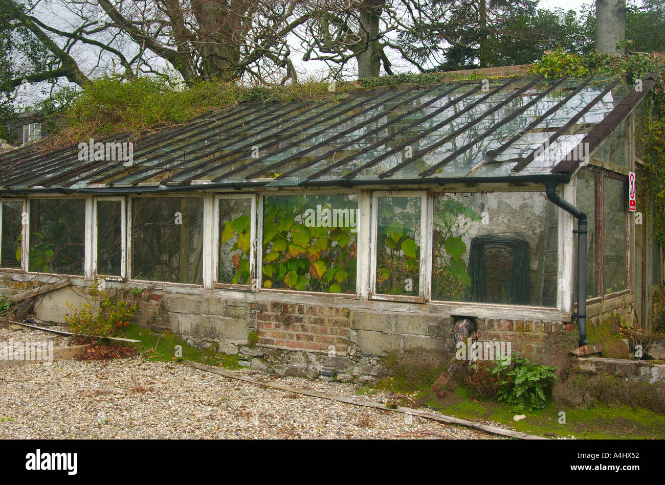 Abandoned greenhouse at Altamont Gardens Tullow Co Carlow Ireland Stock Photo