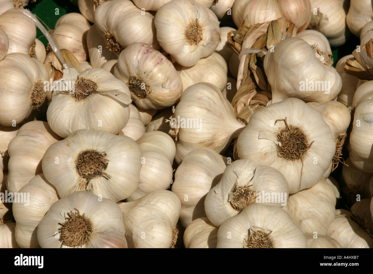 Fresh Garlic on Market Stall Stock Photo Alamy
