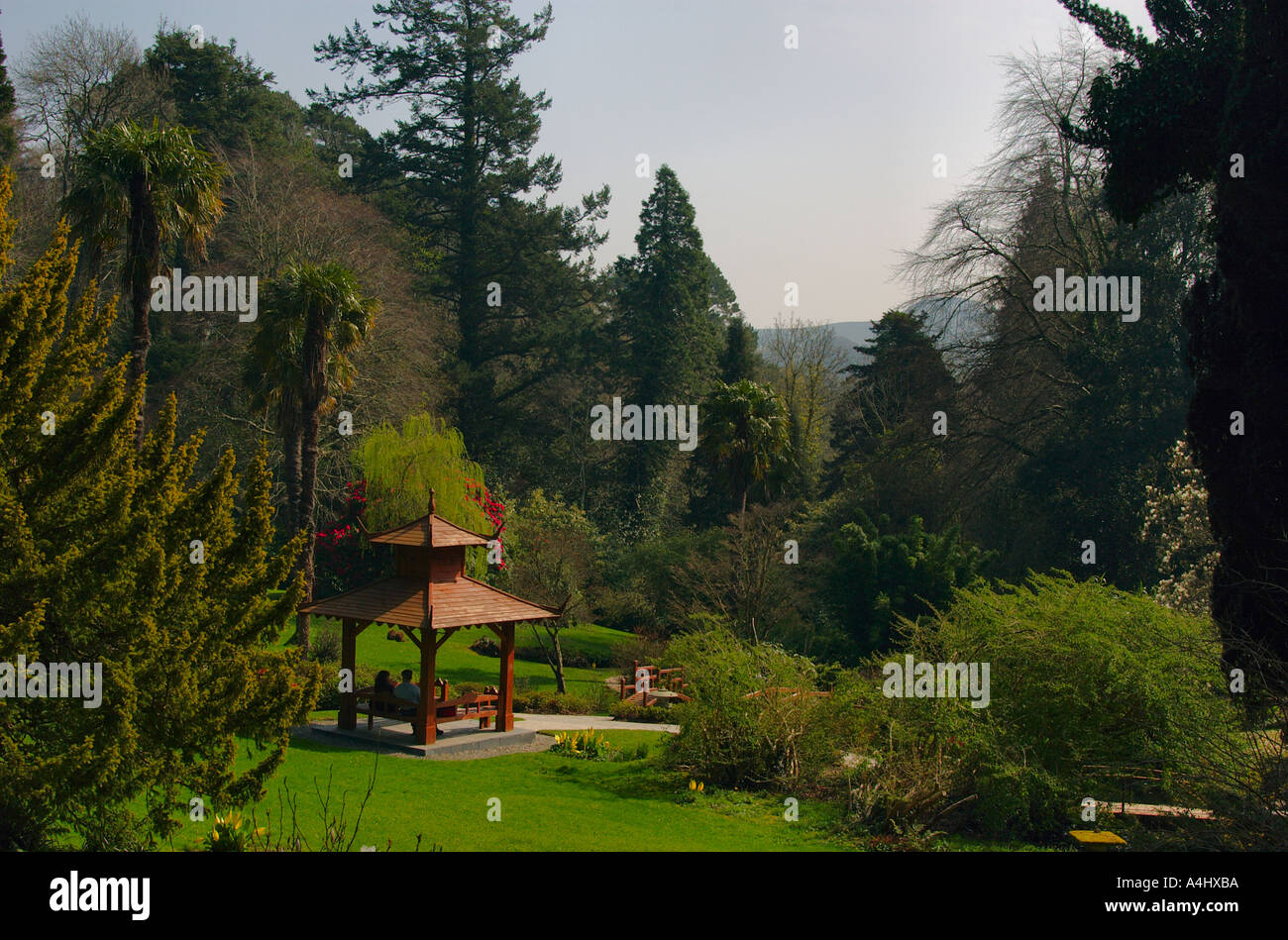 Japanese Garden at Powerscourt House and Gardens Co Wicklow Ireland Stock Photo